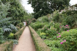 A day out at Mottisfont National Trust